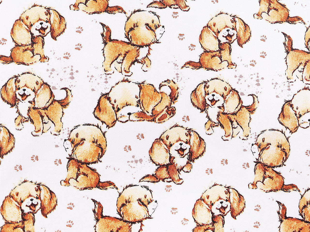Popeline coton oekotex Chiots