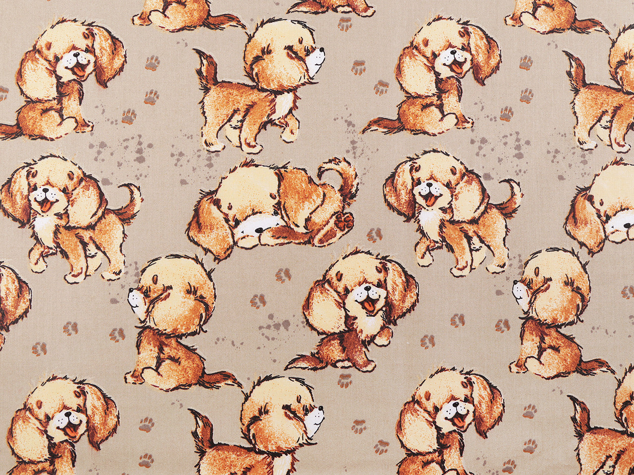 Popeline coton oekotex Chiots