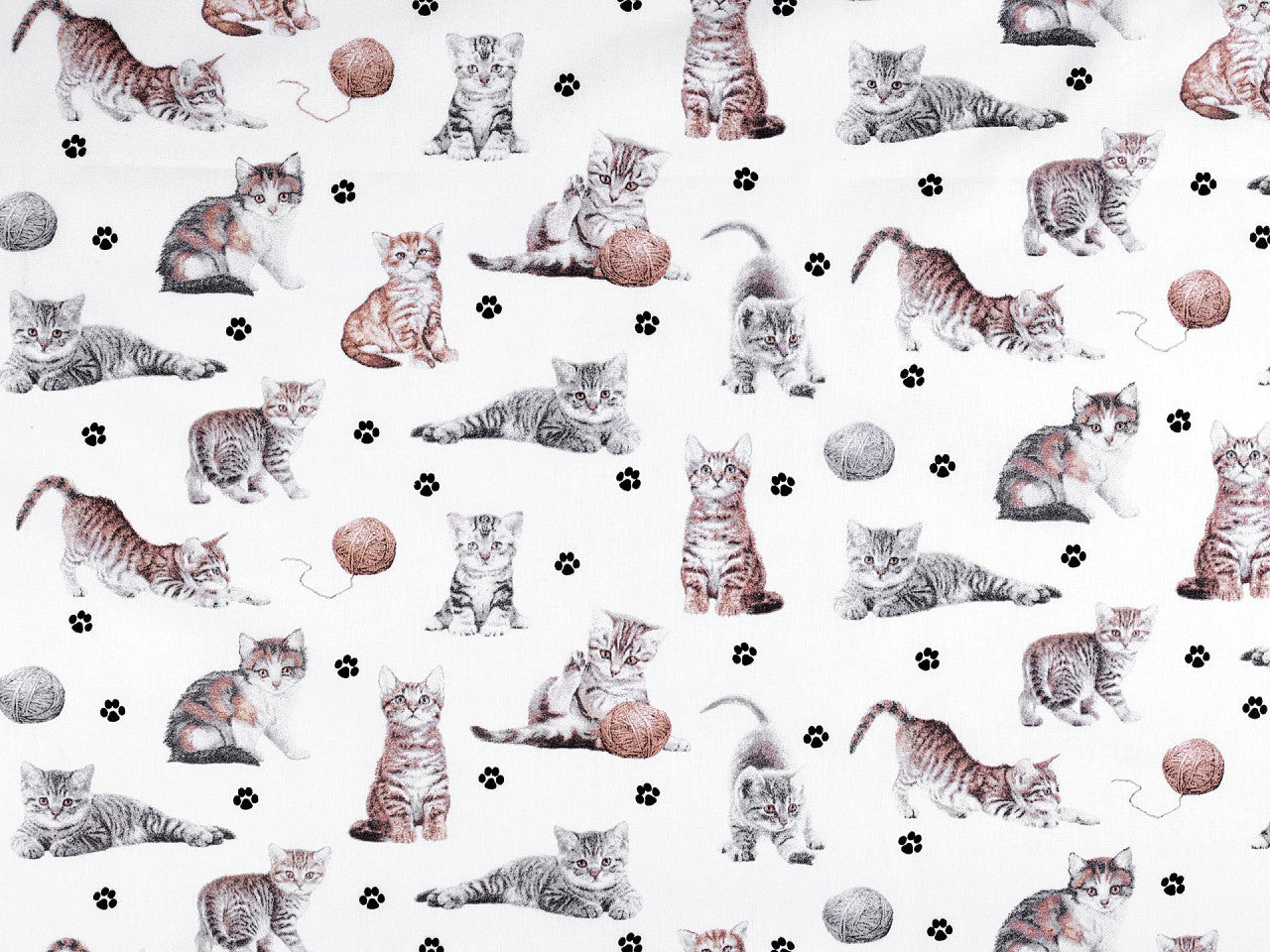 Cretonne coton oekotex Chats
