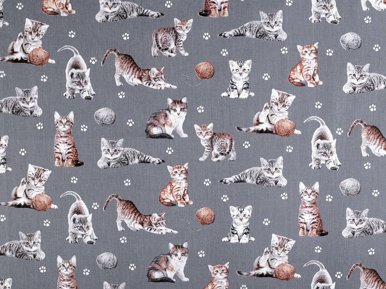 Cretonne coton oekotex Chats
