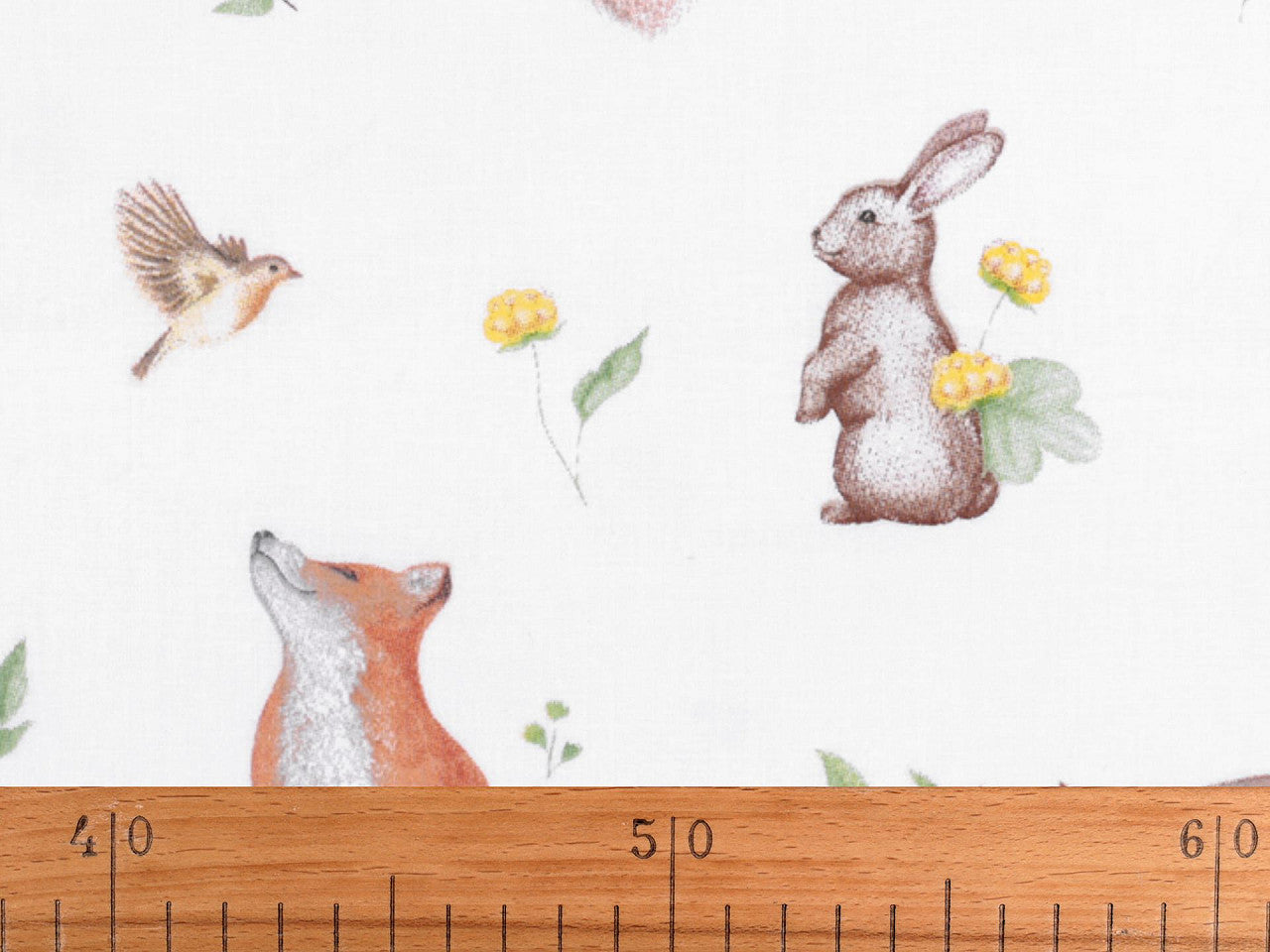 Cretonne coton oekotex Animaux de la forêt
