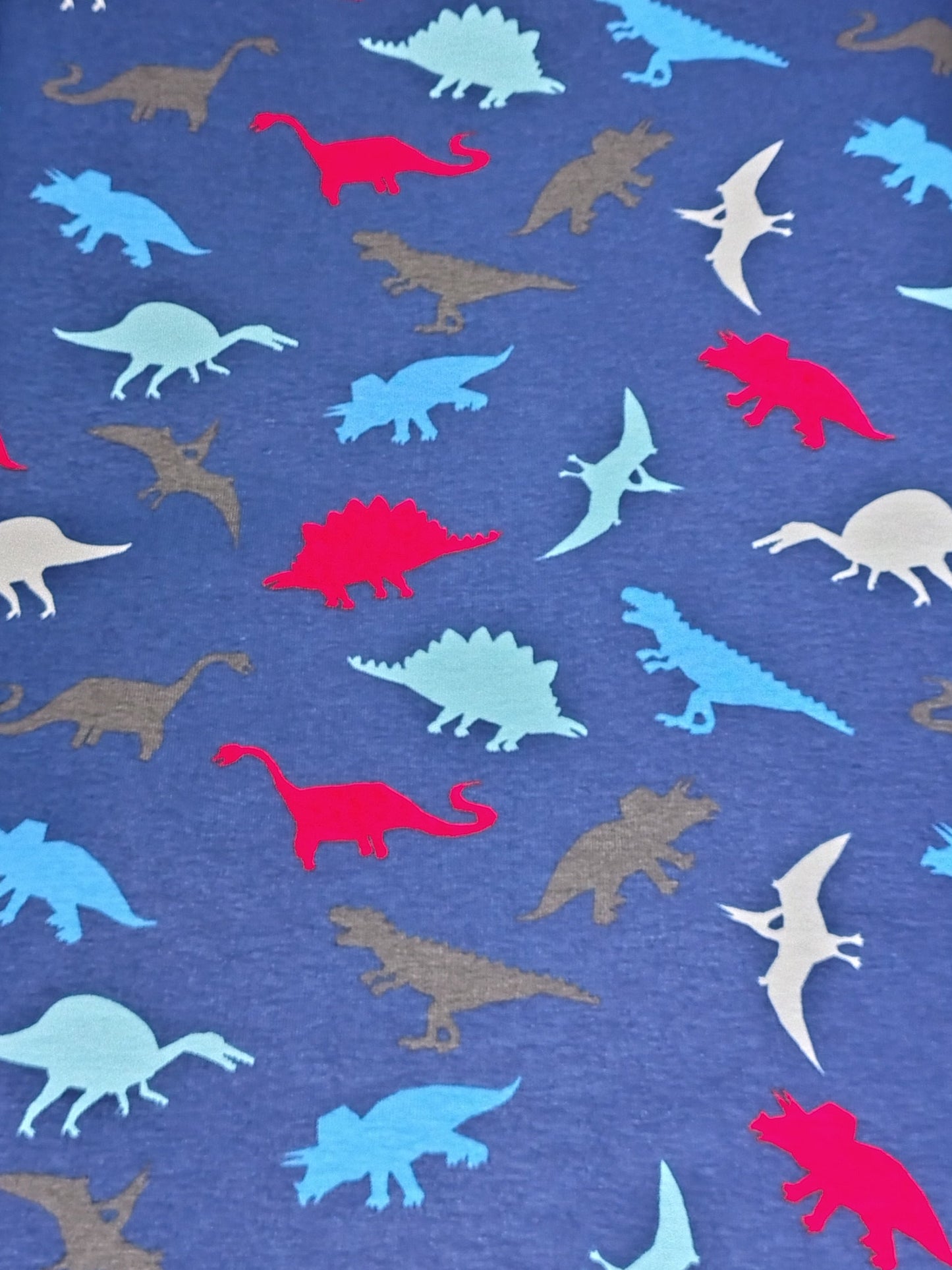 Coupon jersey coton Oekotex DINOSAURES 400x150cm