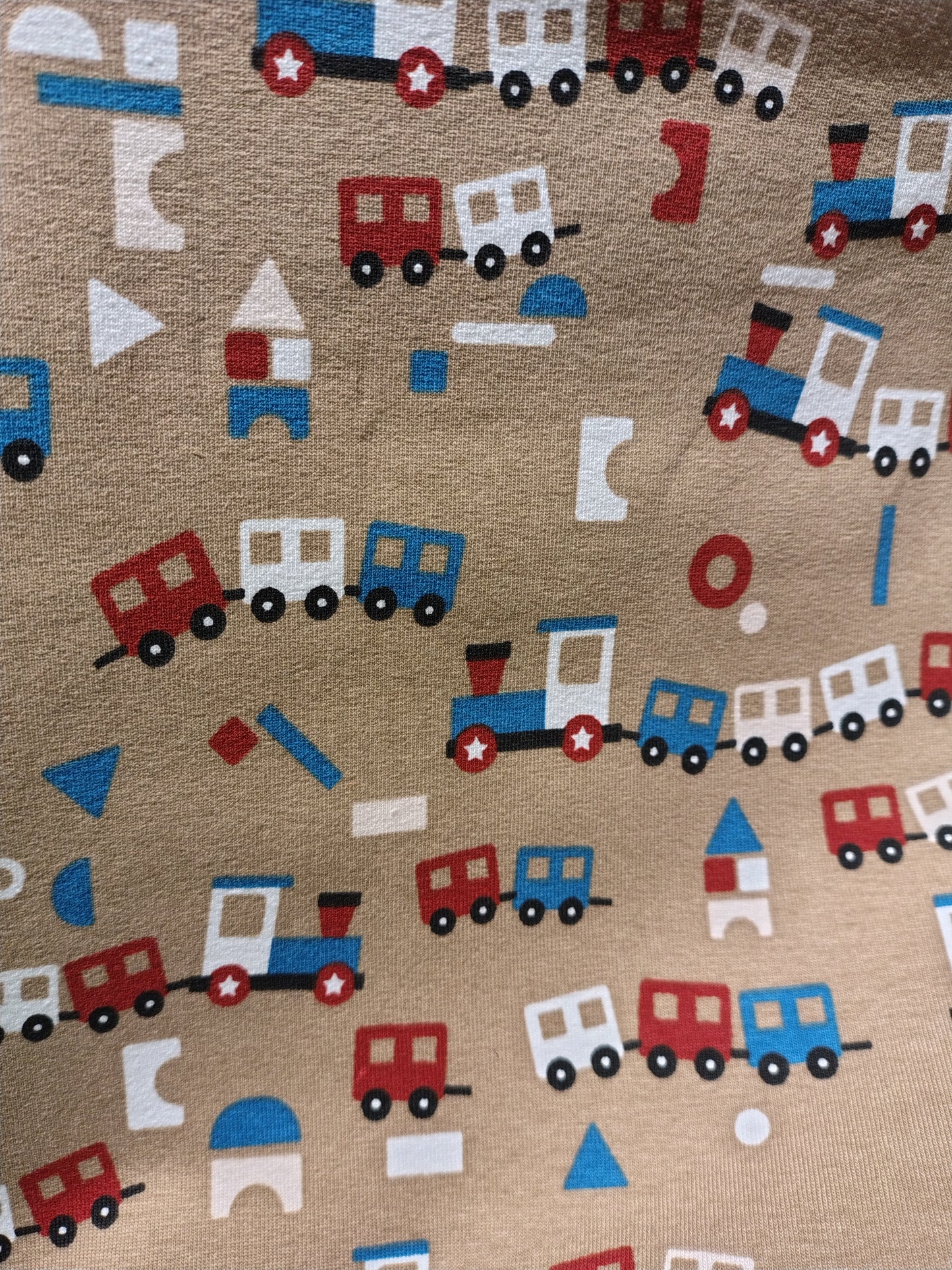 Coupon jersey coton Oekotex TRAINS 240x150cm