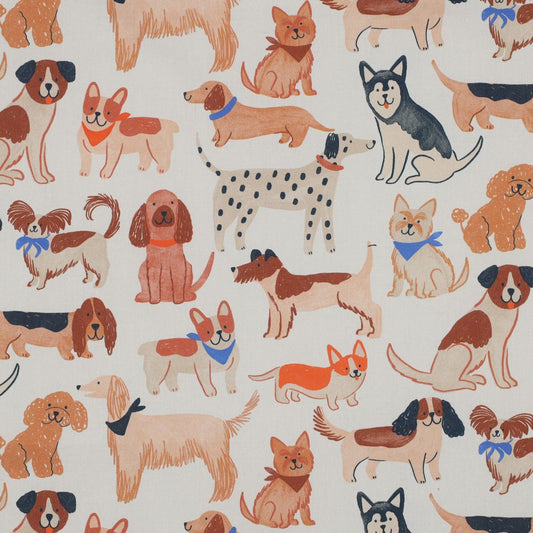 Popeline coton dogs POPPY