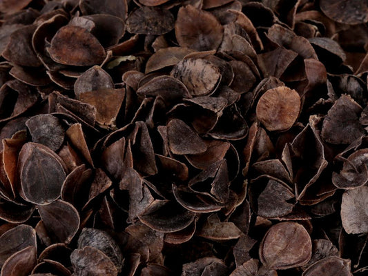 Matériau de rembourrage naturel - écorce de sarrasin, 1 kg