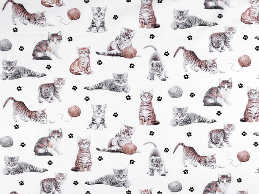 Cretonne coton oekotex  Chats
