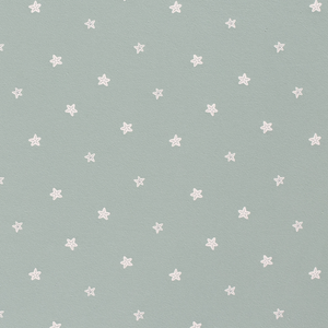 Bedruckter Oekotex-Baumwolljersey